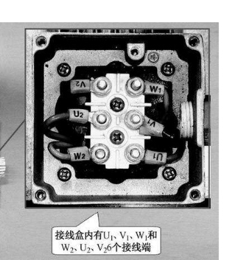 科瑪森細石混凝土泵技術分享之三相異步交流電機接線